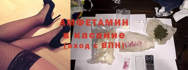 трава Пересвет