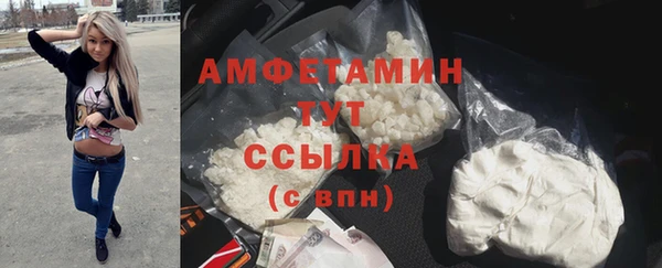 трава Пересвет