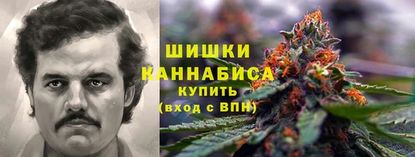 трава Пересвет